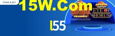 Programa VIP l55
